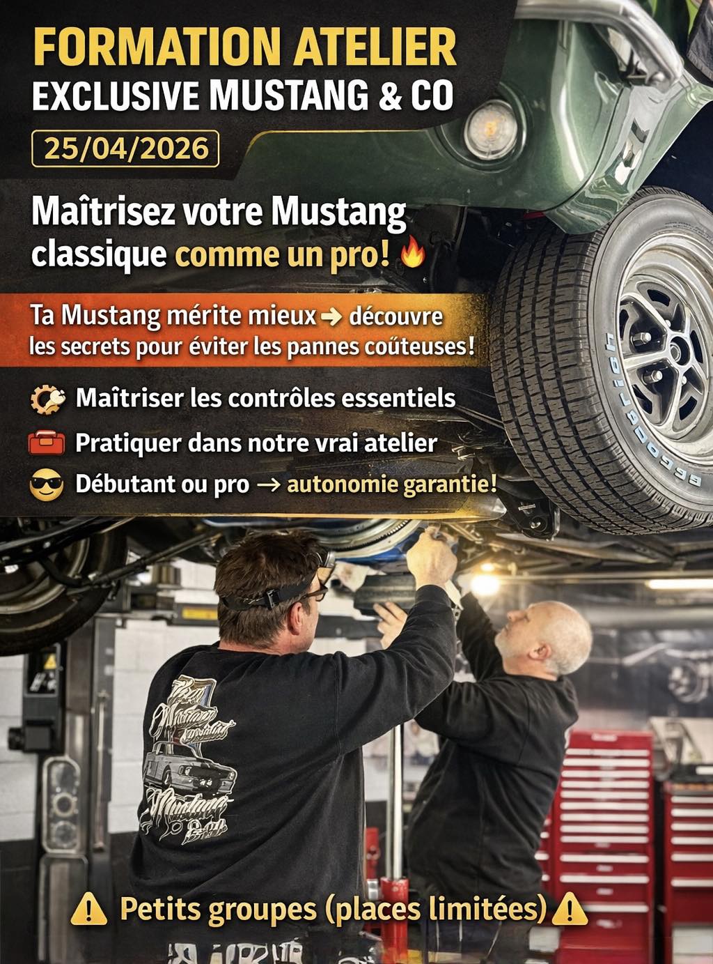 COMPLET - Formation Exclusive Mustang & Co – Maîtrisez votre Mustang classique comme un pro !